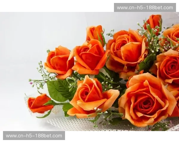 橙色郁金香与北欧红白的巅峰对弈:一场关于玫瑰、热血与荣耀的足球史诗 橙色郁金香与北欧红白的巅峰对弈:一场关于玫瑰、热血与荣耀的足球史诗